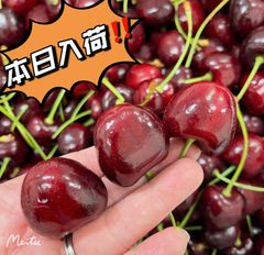 特大粒9.5R ラスト入荷‼️ ワシントン州産　プレミアムチェリー　高糖度　アメリカンチェリー　チェリー　さくらんぼ　车厘子 樱桃 お中元　贈り物　誕生日