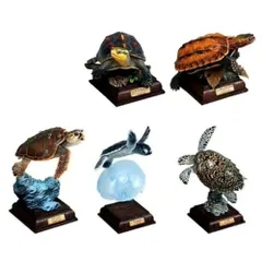 2026年最新】日本のカメ ネイチャーテクニカラーの人気アイテム - メルカリ