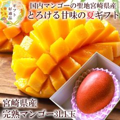 マンゴー 贈り物 内祝い 出産内祝い お祝い 謝礼  お礼 お見舞い 快気祝い お供え ご霊前 手土産ギフト ゴルフコンペ景品 ご結婚お祝い 結婚内祝い 寿 [宮崎完熟マンゴー3L1玉A] 460～500ｇ