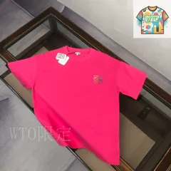 【今日WTO】LOEWE 25SS 男女共通 カラー組み合わせ刺繍 T シャツ-WA59