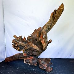 【縁起物】天然木 鶴と亀 置物 オブジェ 流木 瘤木 床の間飾り 骨董 縁起物】天然木 鶴と亀 置物 オブジェ 流木 瘤木 床の間飾り 骨董