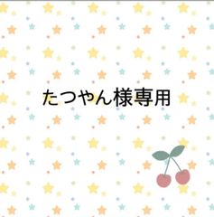 たつやん様専用