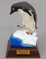 ネイチャーテクニカラー南極 シークレット込全8種フルコンプ 人気セール，本物保証 ◇南極◇ネイチャーテクニカラー◇全８種