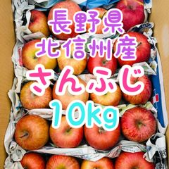 安い！最終入荷🙏並品訳ありMIXサンフジ約10kg 🙇長野県北信州産🍎りんご🍎ふじ🍎全国送料無料 1箱1箱丁寧に手作業で梱包しております。