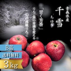 青森県産 千雪 りんご【B品3kg】【送料無料】【農家直送】リンゴ サンふじ