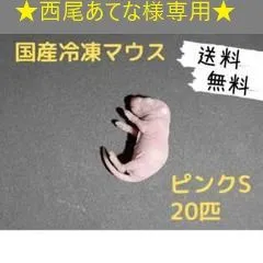 国産冷凍マウス ホッパー 100匹　送料無料（一部地域発送不可) 国産冷凍マウス ホッパー100匹