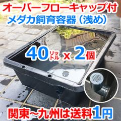 大雨でも安心なメダカ飼育ケース 40㍑トロ舟x4個 オーバーフローキャップ付 大雨でも安心なメダカ飼育ケース 40㍑黒x2個 オーバーフロー