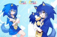 [중고] 캔버스 보드 · 캔버스 아트 전 2 종 세트 캔버스 그래픽 [세가 럭키 복권 ONLINE 홀로 라이브 소니 × 롤러 2023] A상