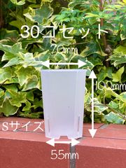 Sサイズ30個セット　透明植木鉢　多肉植物　ハオルチア　専用鉢　植木鉢　簡易プラ鉢　通気性が良い　根腐れを防止
