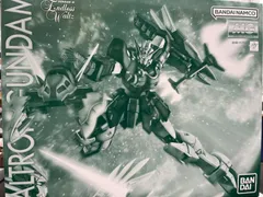 【専用「千家　忍」様】 MG アルトロンガンダム EW