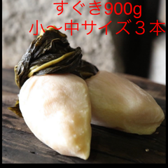 大好評期間限定！農家直送 京漬物すぐき900g(小サイズ約3〜4本) 家庭用