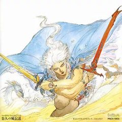 天野喜孝、【TWIN SWORD】、希少な額装用画集より、厳選、FF2装 - メルカリ