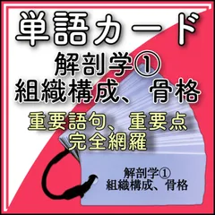 ☆医療系学生の必需品☆解剖学①　組織構成、骨格　単語カードのサムネイル