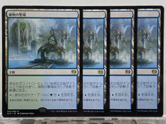 MTG 植物の聖域 KLD 日本語 4枚セット - メルカリ