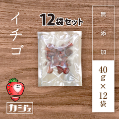 無添加ドライイチゴ 12袋(1袋40g) ドライフルーツ