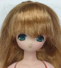 中古ドール みう /ブルーバーズソングIII 1/6ピュアニーモフレクションSドール 2025年最新みう えっくすきゅーとの人気アイテム - メルカリ