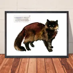 A4・A3ポスター【シャンティリー】猫 ねこネコ 北欧アート インテリア