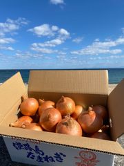 《予約販売 / 訳あり》淡路島『歩』玉ねぎ　10kg【兵庫県淡路島産】