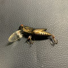 レーベル REBEL クリックホッパー 3.7cm