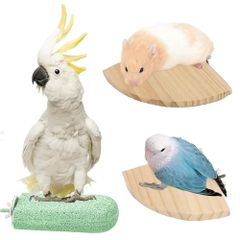 SALUDABLE 爪とぎ ステップ とまり木 スタンド インコ ハムスター 小鳥 モモンガ セット (グリーン)