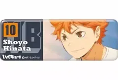 【中古】バッジ・ピンズ(キャラクター) 日向翔陽 「ハイキュー!! ロングカンバッジコレクション2」