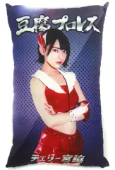 2025年最新】豆腐プロレスの人気アイテム - メルカリ