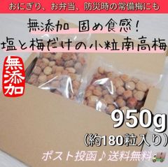 【災害時用の常備梅にも】固めの紀州南高梅950g
