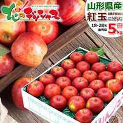 【予約/10月上旬(10月3日)頃～出荷予定】 山形県産 ご家庭用 りんご 紅玉 5kg (準秀品/18玉～28玉入り) こうぎょく リンゴ 林檎 ご自宅用 ご家庭用 お家用 お得 お買い得 果物 フルーツ 山形県 山形県直送 グルメ お取り寄せ