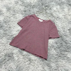 ■【美品】Talbots  タルボット  半袖ニット  総柄  (F)  ガーリー  カジュアル  レディース  ピンク系  桃色【送料無料】のサムネイル