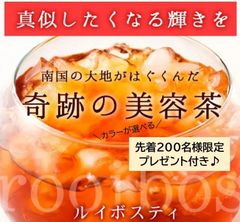 【在庫処分！】ルイボスティー 100包 ノンカフェイン 0カロリー ダイエット茶