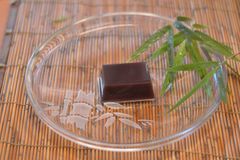 水羊羹 6個入り 手作り和菓子