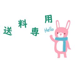 ぽし様送料専用