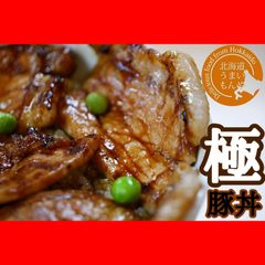 【29%OFF】十勝名物！豚丼！ 120g×5P 北海道産豚肉3種使用