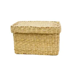 シーグラスかご スクエア 蓋付き 収納ボックス 深型 L