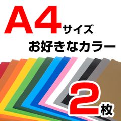 A4サイズ 2枚 屋外耐候4年 塩ビ カラー マーキング シート カッティング フィルム ステッカー 光沢 シート屋.jp