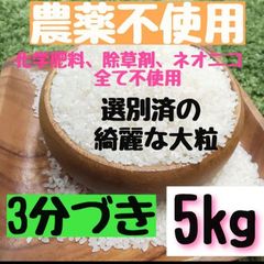 農薬不使用 【大粒で綺麗】ヒノヒカリ  白米  3分づき   5kg  ※新米予約