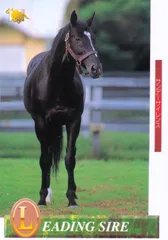 2026年最新】サンデーサイレンスの人気アイテム - メルカリ