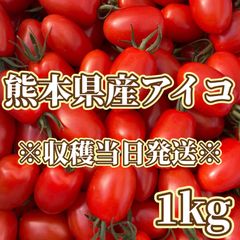 農家直送！ 熊本県産ミニトマト アイコ 1kg