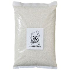 お米🍚福岡県産 夢つくし2キロ🍚 令和6年産100％ 送料無料