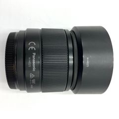 Panasonic (パナソニック) LUMIX G 25mm F1.7 ASPH. H-H025-K ブラック