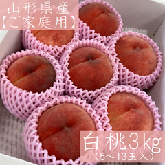 ＊市場直送＊山形県産【ご家庭用】品種おまかせ白桃3㎏（5～13玉入）