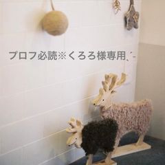 プロフ必読※くろろ様専用おまとめページˎˊ˗