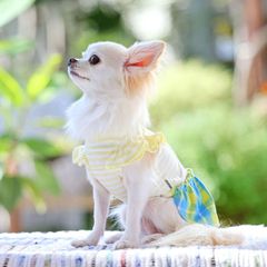 犬と生活　レモンチェックワンピースクール