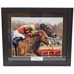 競馬 タニノギムレット 写真パネル 武豊 直筆サイン入り 2002 日本