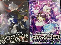 ド*ー様 人狼機ウィンヴルガ ―叛逆篇― 5巻ゲーマーズ限定版 B2タペストリー ド*ー様 人狼機ウィンヴルガ ―叛逆篇― 5巻ゲーマーズ限定版 B2
