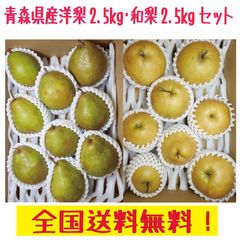 青森県産　洋梨ラ・フランス2.5ｋｇ・和梨2.5ｋｇ　合計５ｋｇ　お得セット