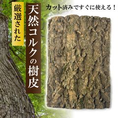 爬虫類 アクリルケージ用 天然コルク樹皮