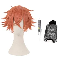 Amazon.co.jp: エース トラッポラ ウィッグ Ace Trappola
