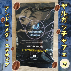 【旧】100g豆☆ヤルガッチャフェ☆アンドロメダエチオピアコーヒー☆野性のコーヒー