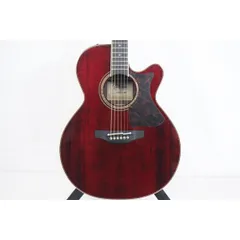 2025年最新】takamine ハードケースの人気アイテム - メルカリ